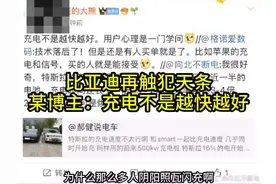 比亚迪再次触犯天条，知名博主：充电不是越快越好 #比亚迪视频封面