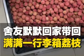 6月29日，广西南宁。舍友坐大巴转高铁，带回来满满一行李箱新鲜荔枝：家里荔枝熟了 早晨5点半起来给你们摘的#感动瞬间视频封面