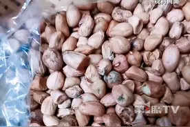 女子舍不得丢掉发霉的花生，做成花生奶喝下后中毒抽搐、头脑发昏。医生：发霉的花生会产生黄曲霉毒素，比砒霜还毒，千万别吃！#女子吃发霉的花生后中毒抽搐 #花生 #发霉的花生 #黄曲霉素视频封面