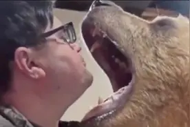 #俄总理签署命令  ！#俄9月起禁止民众私自养猛兽  ！包括大象老虎狮子狼等120余种 违者最高罚100万卢布或4年监禁 #俄罗斯  #猛兽视频封面