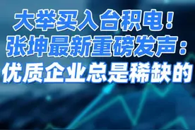 大举买入台积电！张坤最新重磅发声：优质企业总是稀缺的#基金经理 #张坤 #基金 #投资理财 #台积电 #抖音财经视频封面