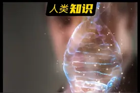 人类出厂设置寿命只有40？一条视频了解寿命的秘密~#寿命 #衰老 #人类视频封面
