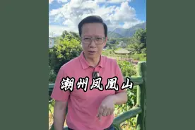 一公斤“100万”的凤凰单枞茶你们喝过吗？#潮汕 #茶 #潮州凤凰山 #乌岽村 #单枞茶