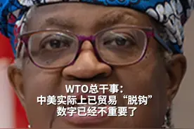 WTO总干事：中美实际上已贸易“脱钩” 数字已经不重要了#WTO总干事中美实际上已贸易脱钩 #WTO视频封面