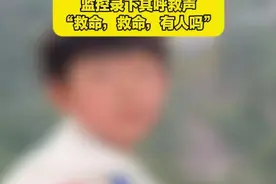 河南汝阳12岁男孩不慎落水  30天后尸体在下游水库被找到 监控录下其呼救声“救命，救命，有人吗”视频封面