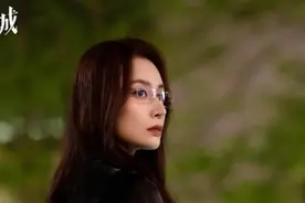 城中之城全集解说“审计介入滨江支行，赵辉被查停职处理”视频封面