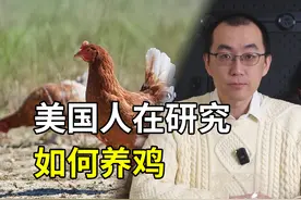 一条视频告诉你美国鸡蛋现在为什么这么贵 #硬核深度计划视频封面