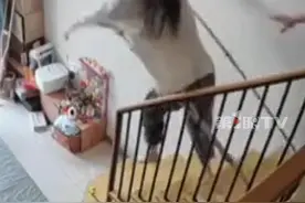 腿部韧带手术刚做完两个星期！女子拄拐杖着急下楼，脚一软整个人“飞”了出去！当事人：多了几块淤青，人没事。#摔倒瞬间视频封面