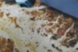 糟心！全屋被粪水一月浸泡两次。“卫生巾和屎尿漂了一地，太恶心了”#都市接到办视频封面