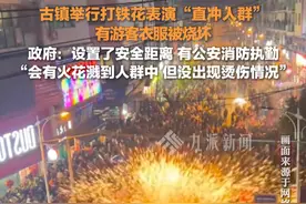 2月12日，四川达州。#官方回应打铁花表演直冲人群 ：设置了安全距离，会有火花溅到人群中，没有出现烫伤情况。视频封面