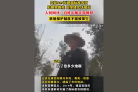先花829万建高标准农田后偷梁换柱 田里建光伏电站，人民网评：百姓心酸无奈愤怒 耕地保护制度不能被架空视频封面