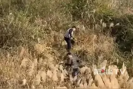 川渝人民春节主线任务启动！一大家子翻山越岭披荆斩棘，只为找到老祖宗的位置祭祖。当事人：这也算是川渝人民的仪式感。#川渝祭祖 #翻山越岭 #仪式感视频封面