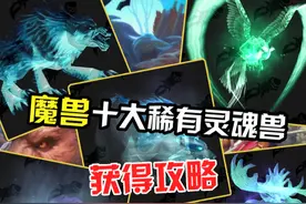 魔兽世界十大灵魂兽，你都有哪些？ #魔兽世界 #解放双手视频封面