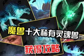 魔兽世界十大灵魂兽，你都有哪些？ #魔兽世界 #解放双手视频封面