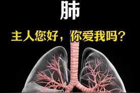 主人您好，我是肺！ #生命科学 #人体结构 #肺 #科普知识