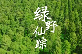 现实版《绿野仙踪》 一曲古琴《绿野仙踪》：绿野翠树浮萍间视频封面