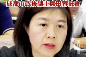 曾任成都市副市长，成都市政协副主席田蓉被查 视频封面