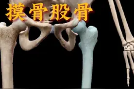 #股骨 #摸骨 #骨性标志