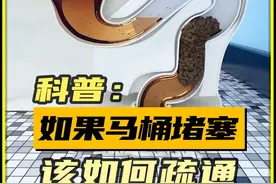 如果你家的马桶意外堵塞，此时该如何疏通？ #抖音知识年终大赏    #内容启发搜索