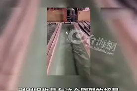 地牛翻身! 台北有感地震预估三级视频封面