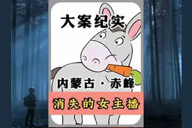 消失的女主播 #大案纪实 #悬疑推理 #真实故事 #以案警示视频封面