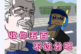 不是你撞的，你为什么要扶！视频封面