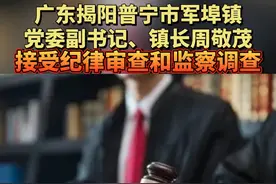广东揭阳普宁市军埠镇党委副书记、镇长周敬茂接受纪律审查和监察调查视频封面