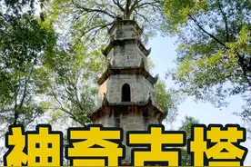 塔上生奇树，相伴共百年——惜字塔#望城好时光 #迎旅发大会游美丽望城@望城好时光  #100个国庆必去打卡地    视频封面