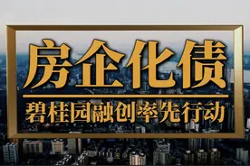 2025房企化债大年，碧桂园融创率先行动 #碧桂园 #融创 #化债视频封面