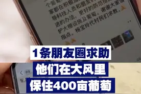 1条朋友圈求助 他们在大风里保住400亩葡萄 近日，央视报道“1条朋友圈求助保住400亩葡萄”的暖心故事。视频封面