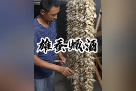 雄蚕蛾酒 养蚕人的农忙，就是早起，晚睡，熬夜才换来秋天的丰收#新农人计划 #星乡村星农人 #柞蚕 #农村生活 #东北