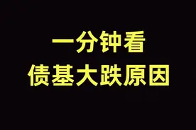 近日债基大跌调整3个原因 #债基 #投资 #理财 #投资理财视频封面