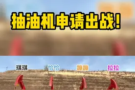 “磕头机”申请出战！#小鸡恰恰舞 #机械化 #骚操作 @中国石油长庆油田 视频封面