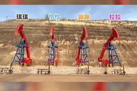 “磕头机”申请出战！#小鸡恰恰舞 #机械化 #骚操作 @中国石油长庆油田 视频封面