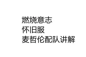 怀旧服：麦哲伦搭配女帝组成双减攻组合 #航海王燃烧意志