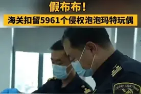 假布布！#海关扣留5961个侵权泡泡玛特玩偶视频封面