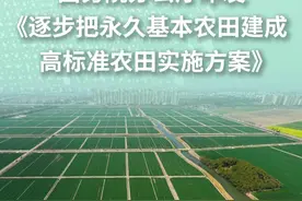 新华社消息｜中共中央办公厅　国务院办公厅印发《逐步把永久基本农田建成高标准农田实施方案》视频封面