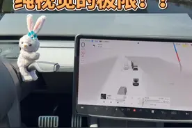 特斯拉FSD纯视觉的极限！？ #自动驾驶 #FSD #特斯拉 #特斯拉FSD视频封面