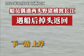 船员毕先生表示，他在江西彭泽县马当镇附近水域见到野猪横渡长江，野猪从北岸游往南岸，在南岸约三分之一处时遇到船只后掉头返回。视频封面