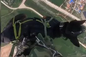 神犬天降！军犬和空降兵高空跳伞，网友：也是上过天的狗狗了！视频封面