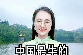中国最牛的十大现代诗，美到窒息！你会背几首？ #现代诗  #文学经典  #佳句欣赏   #诗词文学  #情感共鸣 @DOU+小助手 @DOU+上热门视频封面