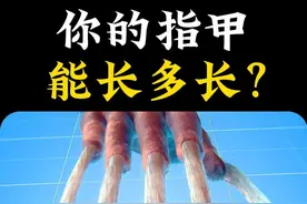 你的指甲，能长多长？ #科普 #内容启发搜索