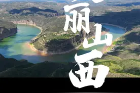 #法护美丽山西 短视频接力  @太原中院《擦亮环境保护底色，且听一只珍稀鸟类的自白》视频封面