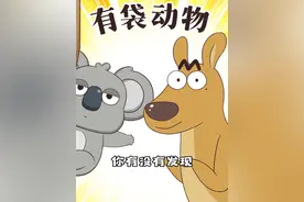 考拉袋鼠袋熊，澳洲为什么成了有袋动物俱乐部？#轻漫计划 #冷知识 #动物世界
