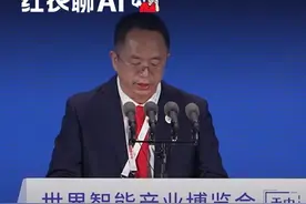 破除对千亿万亿参数大模型的迷信，选择小参数的模型不是一种妥协#大模型 #AI #人工智能 #大咖观察视频封面