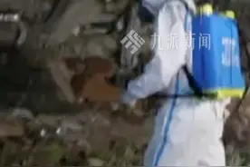 4月2日报道，#缅甸强震已致2719人遇难 ：震区已展开防疫工作，#中国公羊救援队进震区废墟进行消杀作业  ：高温天气，#缅甸震区大量罹难者来不及移出废墟 。视频封面