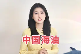 中国海油业绩大增，未来的能源霸主！ 海域足够广视频封面