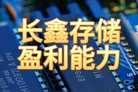 长鑫存储，盈利最强的10家企业 #长鑫存储 #盈利能力