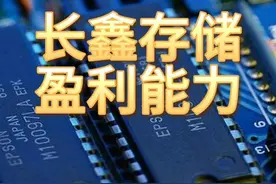 长鑫存储，盈利最强的10家企业 #长鑫存储 #盈利能力视频封面