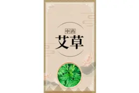 艾草的功效与作用 性温;味苦、辛;归脾、肝、肾经。 功效温经通络视频封面